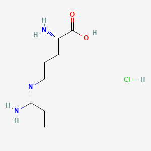 molecular formula C8H18ClN3O2 B584873 L-N5-(1-Iminopropyl) ornithine (hydrochloride) CAS No. 150403-96-6