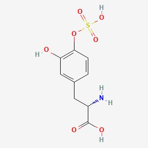 molecular formula C9H11NO7S B584890 (2S)-2-amino-3-(3-hydroxy-4-sulfooxyphenyl)propanoic acid CAS No. 217657-34-6