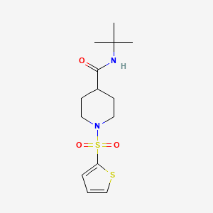 molecular formula C14H22N2O3S2 B5849498 N-(tert-butyl)-1-(2-thienylsulfonyl)-4-piperidinecarboxamide 