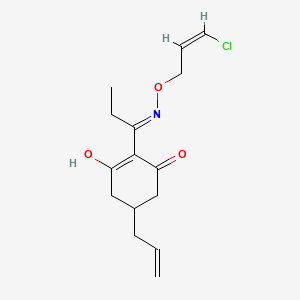 molecular formula C15H20ClNO3 B585006 2-[1-({[(2Z)-3-Chloroprop-2-en-1-yl]oxy}amino)propylidene]-5-(prop-2-en-1-yl)cyclohexane-1,3-dione CAS No. 111031-61-9