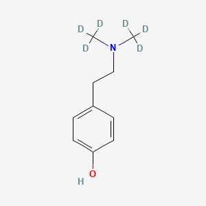 molecular formula C10H15NO B585007 Hordenine-d6 CAS No. 1346598-66-0