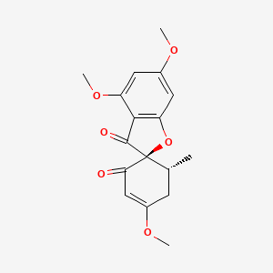 molecular formula C17H18O6 B585026 4,4',6-三甲氧基-6'-甲基-3'-格里森-2',3-二酮 CAS No. 56783-97-2