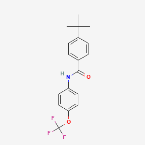 molecular formula C18H18F3NO2 B5851349 4-tert-butyl-N-[4-(trifluoromethoxy)phenyl]benzamide 