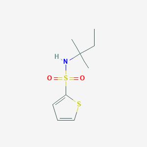 molecular formula C9H15NO2S2 B5851460 N-(1,1-dimethylpropyl)-2-thiophenesulfonamide 