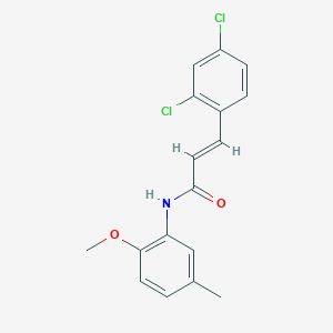 molecular formula C17H15Cl2NO2 B5851813 3-(2,4-dichlorophenyl)-N-(2-methoxy-5-methylphenyl)acrylamide 