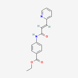 molecular formula C17H16N2O3 B5852099 ethyl 4-{[3-(2-pyridinyl)acryloyl]amino}benzoate 
