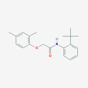 molecular formula C20H25NO2 B5852361 N-(2-tert-butylphenyl)-2-(2,4-dimethylphenoxy)acetamide 