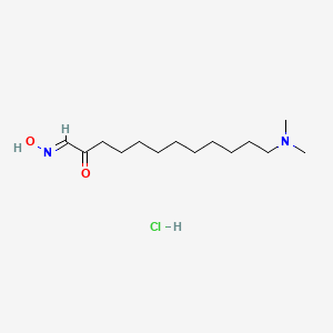 molecular formula C14H29ClN2O2 B5853753 12-(dimethylamino)-2-oxododecanal oxime hydrochloride 