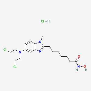 molecular formula C19H30Cl3N4O2+ B585383 Tinostamustine hydrochloride CAS No. 1793059-58-1