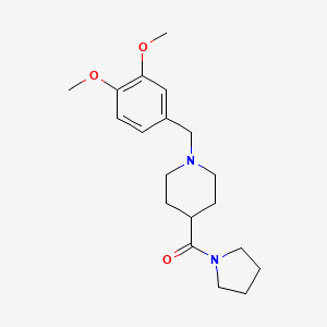 molecular formula C19H28N2O3 B5855009 1-(3,4-dimethoxybenzyl)-4-(1-pyrrolidinylcarbonyl)piperidine 