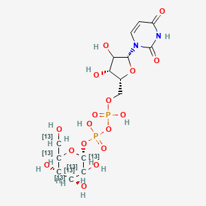 molecular formula C15H24N2O17P2 B585560 Uridine 5'-Diphospho-alpha-D-glucose-13C6 Diammonium Salt CAS No. 904293-00-1
