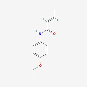 molecular formula C12H15NO2 B5855618 N-(4-ethoxyphenyl)-2-butenamide 
