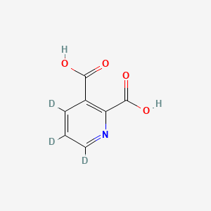 molecular formula C7H5NO4 B585567 2,3-Pyridinedicarboxylic Acid-d3 (Major) CAS No. 138946-42-6