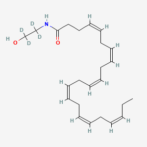 molecular formula C24H37NO2 B585868 Synaptamide-d4 CAS No. 946524-43-2