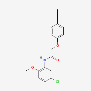molecular formula C19H22ClNO3 B5858764 2-(4-tert-butylphenoxy)-N-(5-chloro-2-methoxyphenyl)acetamide 