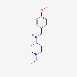 molecular formula C16H26N2O B5859628 N-(4-methoxybenzyl)-1-propyl-4-piperidinamine 