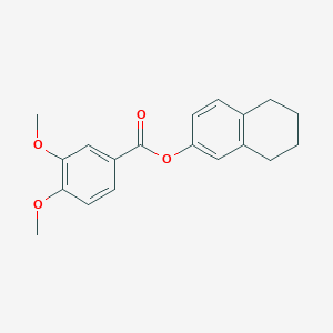 molecular formula C19H20O4 B5859965 5,6,7,8-tetrahydro-2-naphthalenyl 3,4-dimethoxybenzoate 