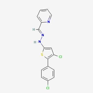 molecular formula C16H11Cl2N3S B5860404 2-pyridinecarbaldehyde [4-chloro-5-(4-chlorophenyl)-2-thienyl]hydrazone 