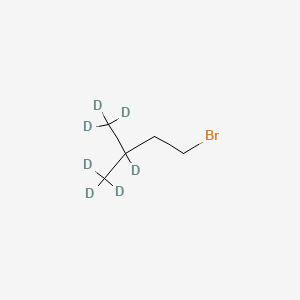 molecular formula C5H11Br B586064 1-Bromo-3-methylbutane-d7 CAS No. 1795011-78-7