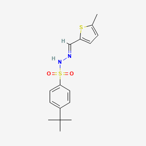 molecular formula C16H20N2O2S2 B5861738 4-tert-butyl-N'-[(5-methyl-2-thienyl)methylene]benzenesulfonohydrazide 
