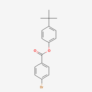 molecular formula C17H17BrO2 B5862231 4-叔丁基苯甲酸4-溴苯酯 