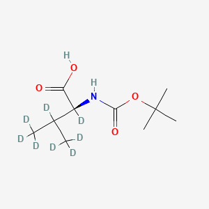 molecular formula C10H19NO4 B586240 (2S)-2,3,4,4,4-五氘代-2-[(2-甲基丙烷-2-基)氧羰基氨基]-3-(三氘代甲基)丁酸 CAS No. 153568-33-3