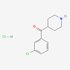 molecular formula C12H15Cl2NO B586457 4-(3-氯苯甲酰)哌啶盐酸盐 CAS No. 1391052-66-6