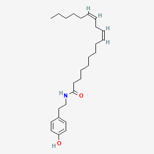 molecular formula C26H41NO2 B586540 Termitomycamide E CAS No. 1177258-62-6