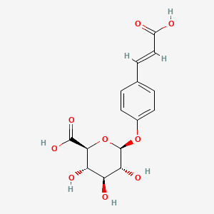 molecular formula C15H16O9 B586563 4-[(E)-2-羧乙烯基]苯基 β-D-葡萄糖吡喃糖醛酸 CAS No. 214689-30-2