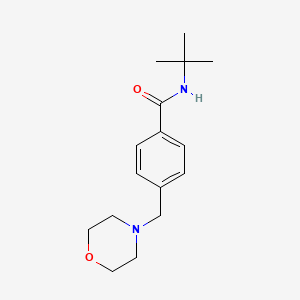 molecular formula C16H24N2O2 B5866529 N-(tert-butyl)-4-(4-morpholinylmethyl)benzamide 