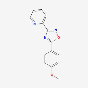 molecular formula C14H11N3O2 B5867666 2-[5-(4-methoxyphenyl)-1,2,4-oxadiazol-3-yl]pyridine 