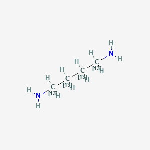 molecular formula C4H12N2 B586785 1,4-Diaminobutane-13C4 CAS No. 1173023-66-9