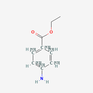 molecular formula C9H11NO2 B586854 Benzocaine-13C6 CAS No. 1391054-61-7