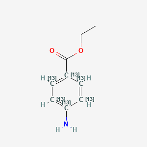 Benzocaine-13C6