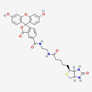 molecular formula C33H32N4O8S B586927 N-[2-[5-[(3As,4S,6aR)-2-氧代-1,3,3a,4,6,6a-六氢噻吩[3,4-d]咪唑-4-基]戊酰胺基]乙基]-3',6'-二羟基-3-氧代螺[2-苯并呋喃-1,9'-吨]-5-甲酰胺 CAS No. 1032732-74-3