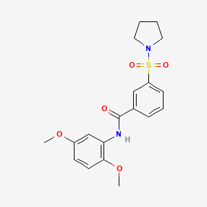 molecular formula C19H22N2O5S B5869658 N-(2,5-dimethoxyphenyl)-3-(1-pyrrolidinylsulfonyl)benzamide 