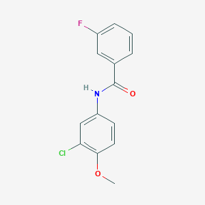 molecular formula C14H11ClFNO2 B5869744 N-(3-chloro-4-methoxyphenyl)-3-fluorobenzamide 