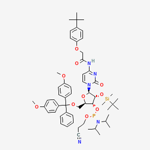 molecular formula C57H76N5O10PSi B587012 5/'-O-(4,4-Dimethoxytrityl)-2/'-O-[(tert-butyl)dimethylsilyl]-N-[[4-(tert-butyl)phenoxy]acetyl]cytid CAS No. 149989-66-2
