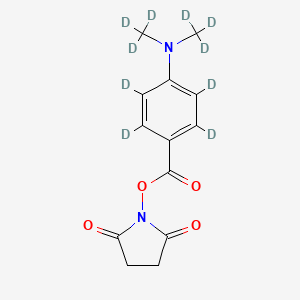 molecular formula C13H14N2O4 B587020 DMABA-d10 NHS 酯 CAS No. 1175002-05-7