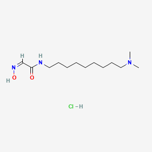molecular formula C13H28ClN3O2 B5870352 N-[9-(dimethylamino)nonyl]-2-(hydroxyimino)acetamide hydrochloride 