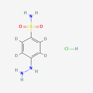 molecular formula C6H10ClN3O2S B587045 (4-磺酰苯基)肼-d4 盐酸盐 CAS No. 1246816-16-9
