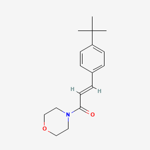 molecular formula C17H23NO2 B5871000 4-[3-(4-tert-butylphenyl)acryloyl]morpholine 