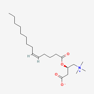 molecular formula C21H39NO4 B587161 O-[(5Z)-tetradecenoyl]-L-carnitine CAS No. 1186416-86-3