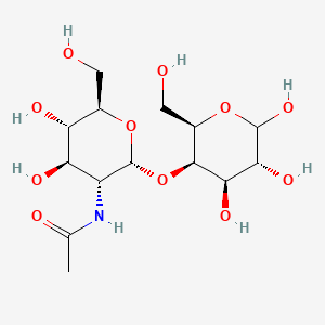 molecular formula C14H25NO11 B587217 N-[(2R,3R,4R,5S,6R)-4,5-Dihydroxy-6-(hydroxymethyl)-2-[(2R,3R,4R,5R)-4,5,6-trihydroxy-2-(hydroxymethyl)oxan-3-yl]oxyoxan-3-yl]acetamide CAS No. 76909-76-7