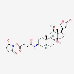 molecular formula C31H42N2O9 B587319 3-Amino-3-deoxydigoxigenin hemisuccinamide, succinimidyl ester CAS No. 216299-46-6