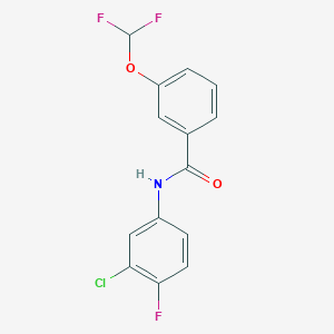molecular formula C14H9ClF3NO2 B5873548 N-(3-chloro-4-fluorophenyl)-3-(difluoromethoxy)benzamide 
