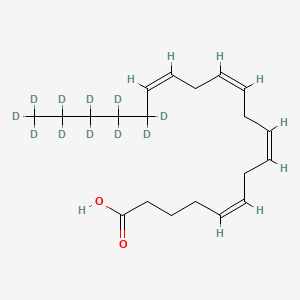 molecular formula C20H32O2 B587427 Arachidonic Acid-d11 CAS No. 1287387-84-1