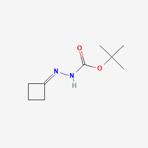 molecular formula C9H16N2O2 B587446 叔丁基环丁叉烯并咔唑酯 CAS No. 158001-20-8