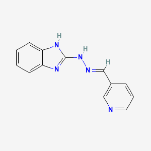 molecular formula C13H11N5 B5875525 nicotinaldehyde 1H-benzimidazol-2-ylhydrazone 