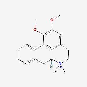 molecular formula C20H24NO2+ B587662 N-甲基荷叶碱 CAS No. 754919-24-9